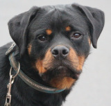 img_0862